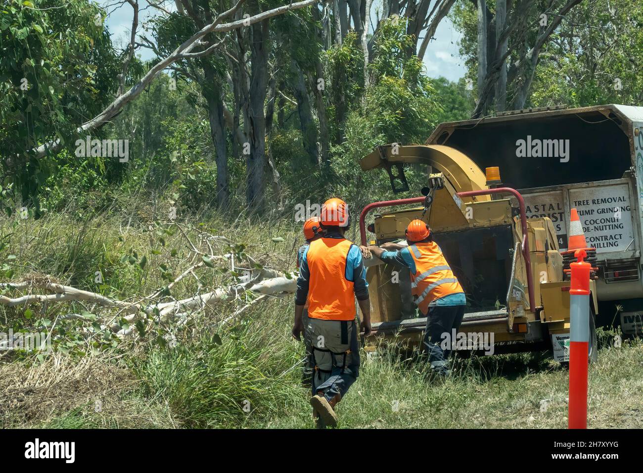 Bruce Highway Townsville nach Mackay, Queensland, Australien - 2021. November: Arbeiter, die am Straßenrand Bäume hacken Stockfoto