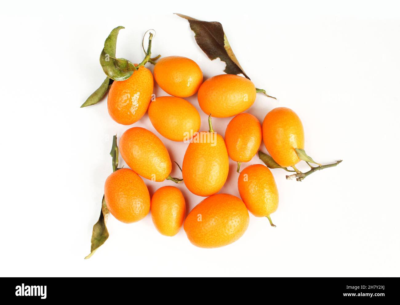 Haufen orangefarbener Kumquats, isoliert auf weißem Hintergrund. Saftige Früchte Stockfoto