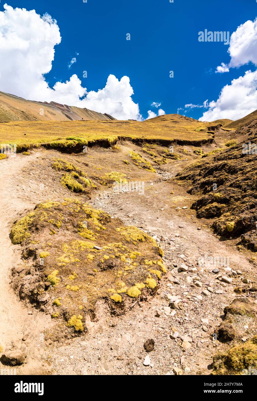 Klettern Sie zum Rainbow Mountain Vinicunca in Peru Stockfoto