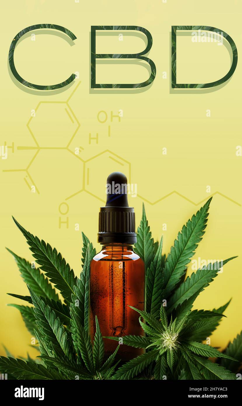 CBD in Text und Cannabidol-Formel mit Flasche und Marihuanapflanze mit Platz für Text Stockfoto