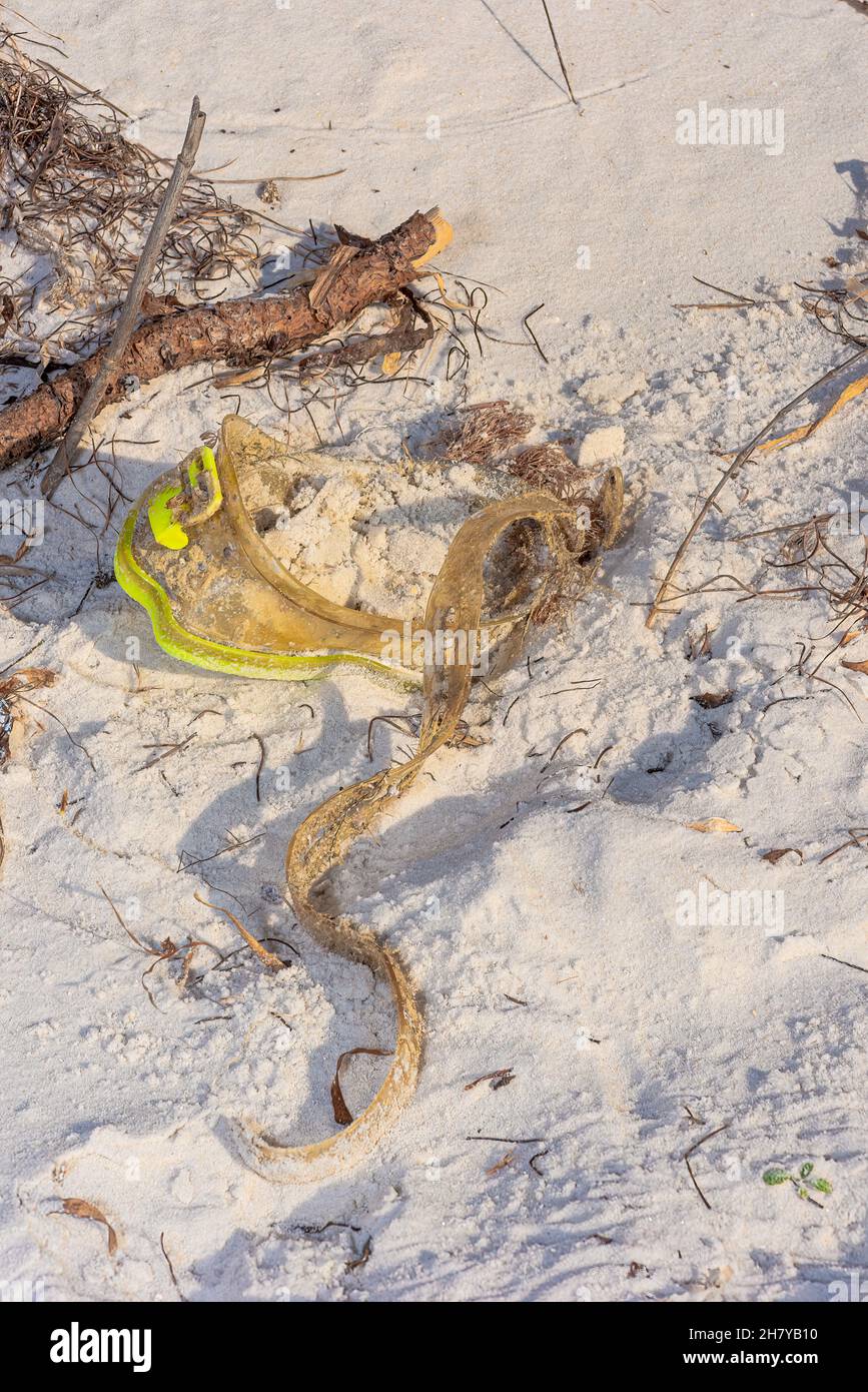 Tauchmaske voller Sand und Müll am Florida Beach Stockfoto