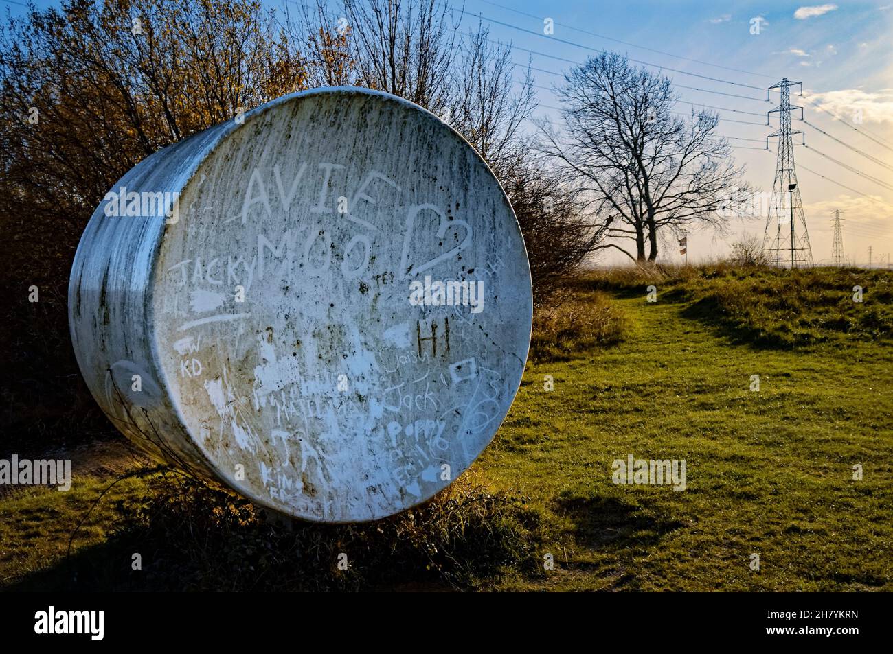 Akustischer Spiegel im Wat Tyler Country Park, ehemals Standort der 1891 von Alfred Nobel gegründeten Pitsea Explosives Factory Stockfoto