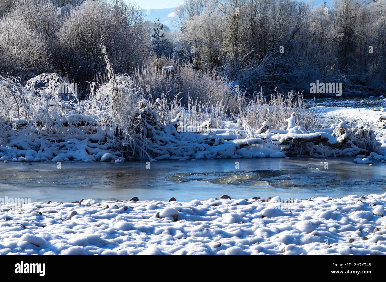 Schnee am felsigen Strand, gefrorene Bäume, frostiges sonniges Wetter Stockfoto