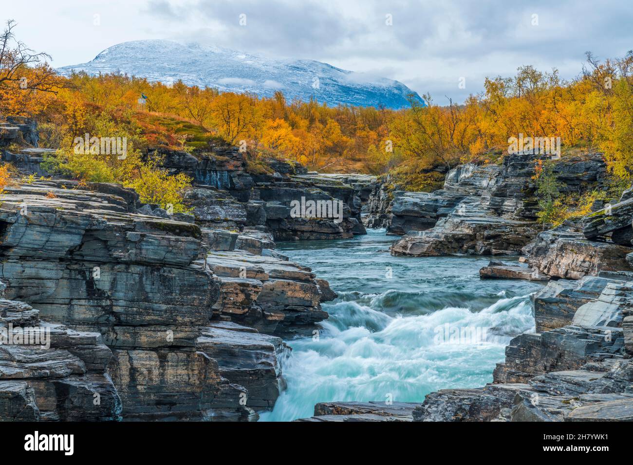 Abiskko jokk in der Herbstsaison mit türkisfarbenem Wasser, gelben Birken und Berg im Hintergrund mit Schnee, Abisko, Schwedisch Lappland, Schweden Stockfoto