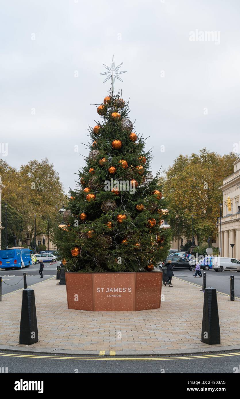 Ein großer geschmückter Weihnachtsbaum auf dem zentralen Reservat in Waterloo Place, St. James, London, England, Großbritannien Stockfoto