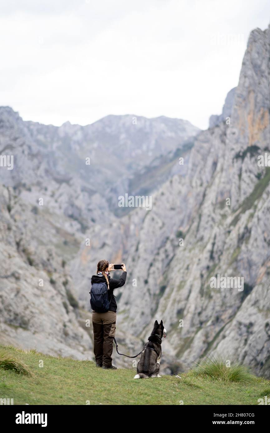 Rückansicht einer anonymen Backpacker-Frau, die mit Husky-Hund auf einem grasbewachsenen Hügel steht und einen Bergrücken fotografiert Stockfoto