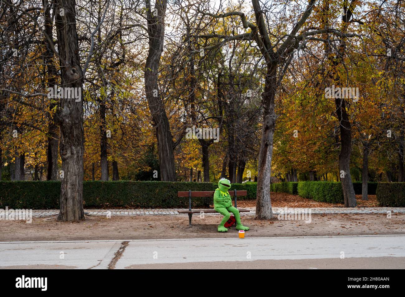 Madrid, Spanien. 25th. November 2021. Ein Mann, der als Kermit der Frosch gekleidet ist, sitzt an einem Herbsttag allein auf einer Bank im Retiro-Park und wartet darauf, von Besuchern Münzen zu erhalten. Quelle: Marcos del Mazo/Alamy Live News Stockfoto