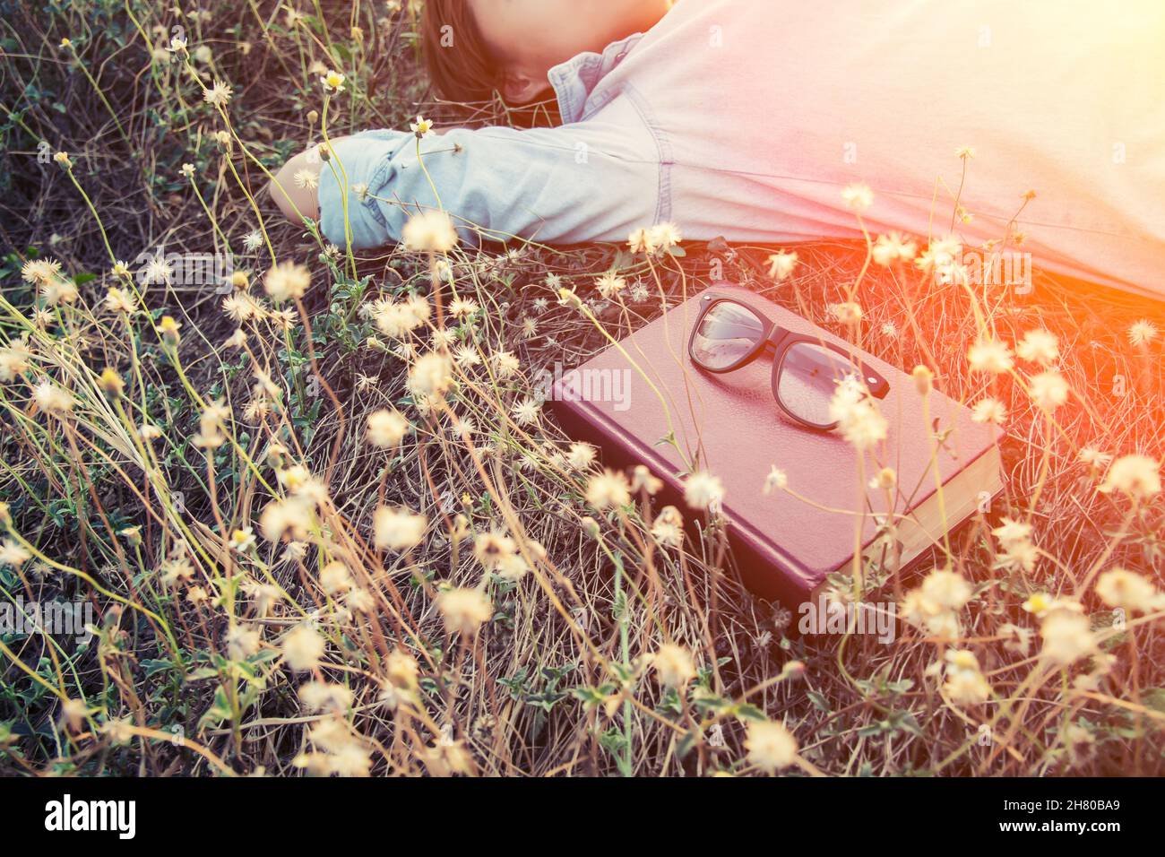 Junge Frau napping auf der Löwenzahn Feld nach dem Lesen Buch, die Gläser auf dem Buch Stockfoto