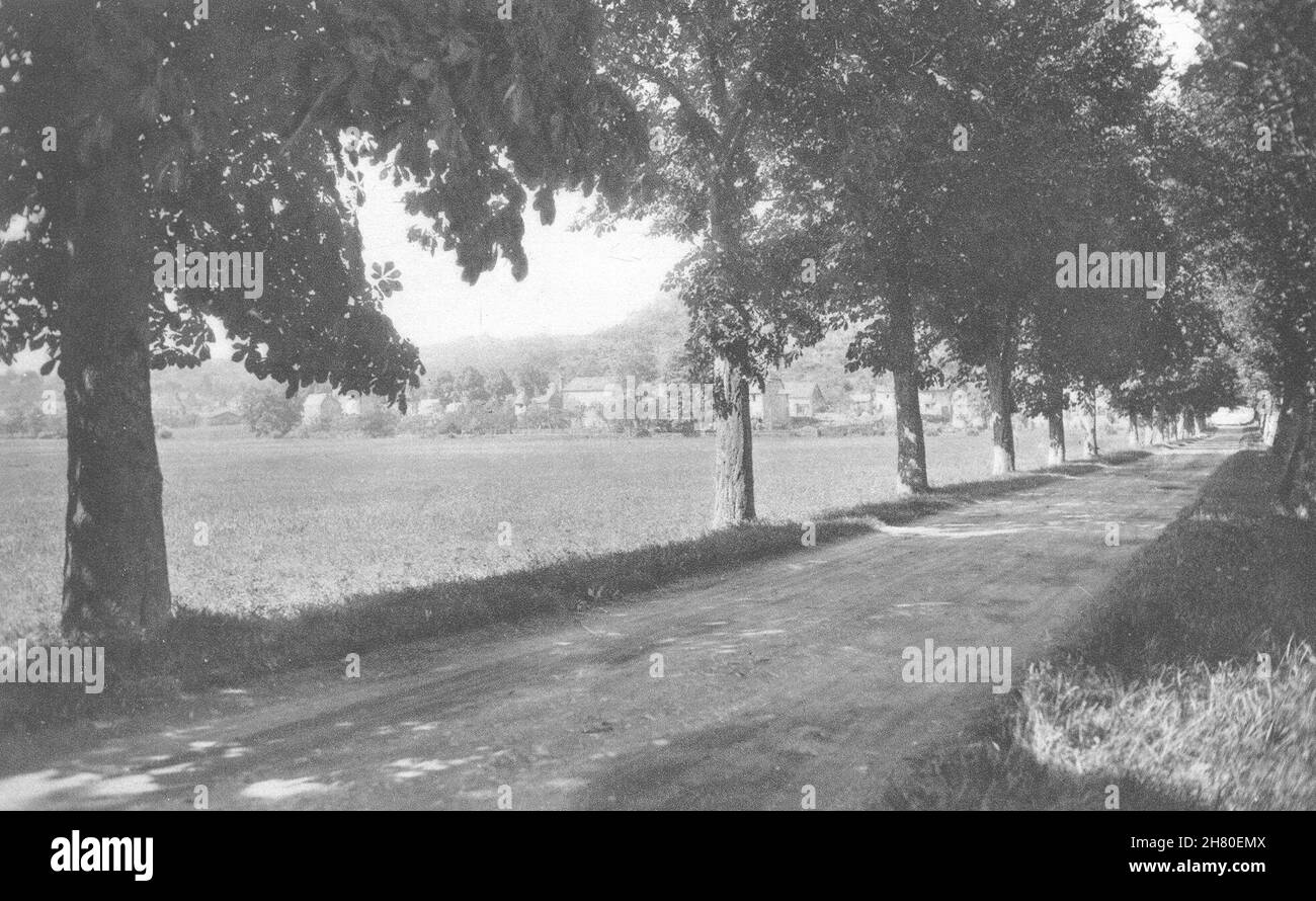 MOSEL. Abreschviller- La Route ombragée 1937 altes Vintage Druckbild Stockfoto