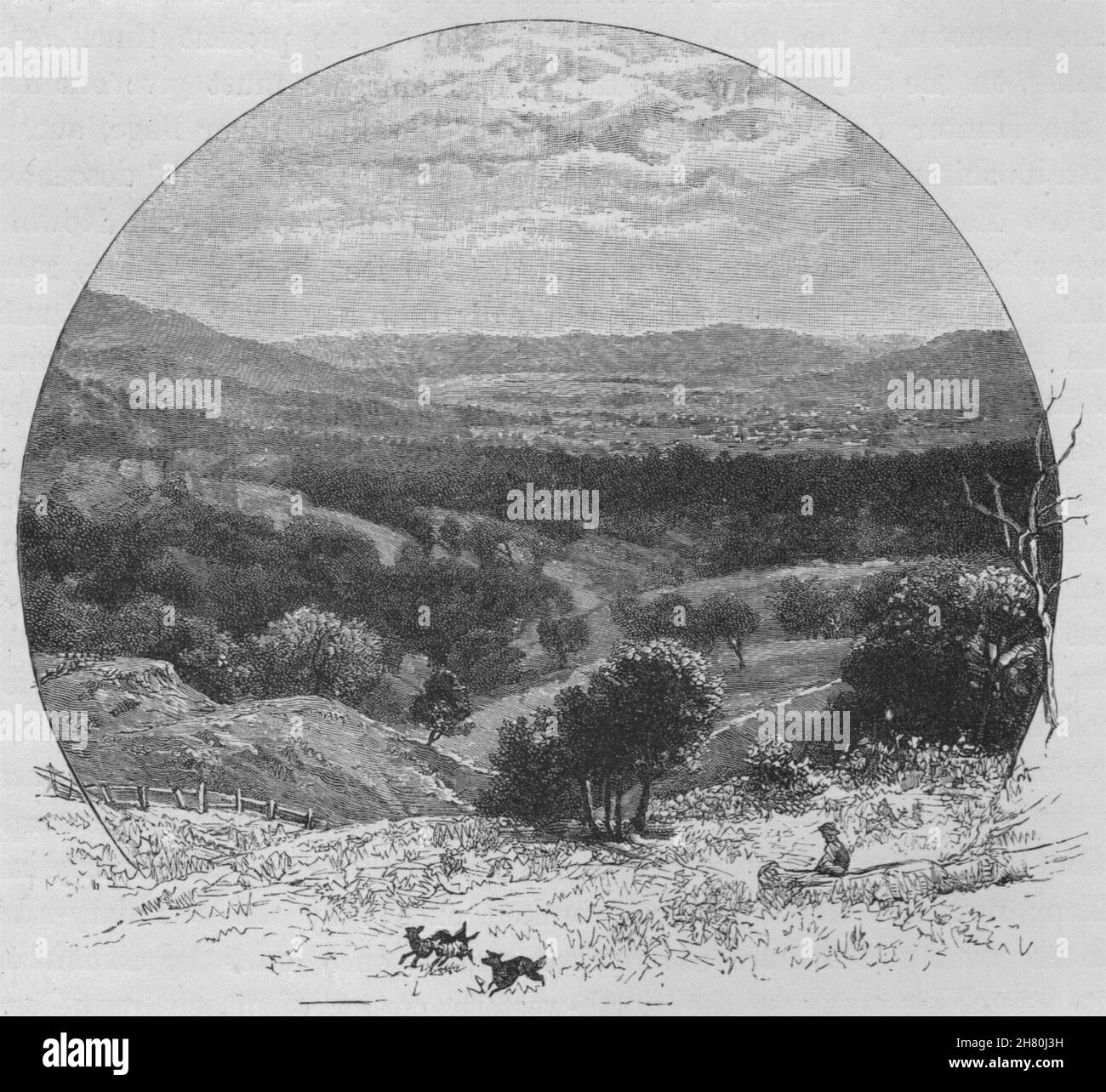 Murrurundi und das Tal des Jägers. Australien 1890 alten, antiken Drucken Stockfoto