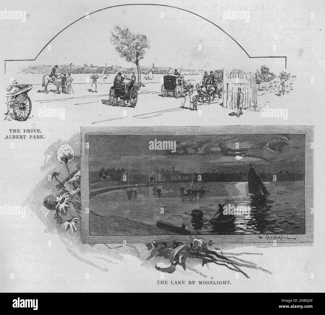 Der Antrieb, Albert Park; der See bei Mondschein. Melbourne. Australien 1890 Drucken Stockfoto