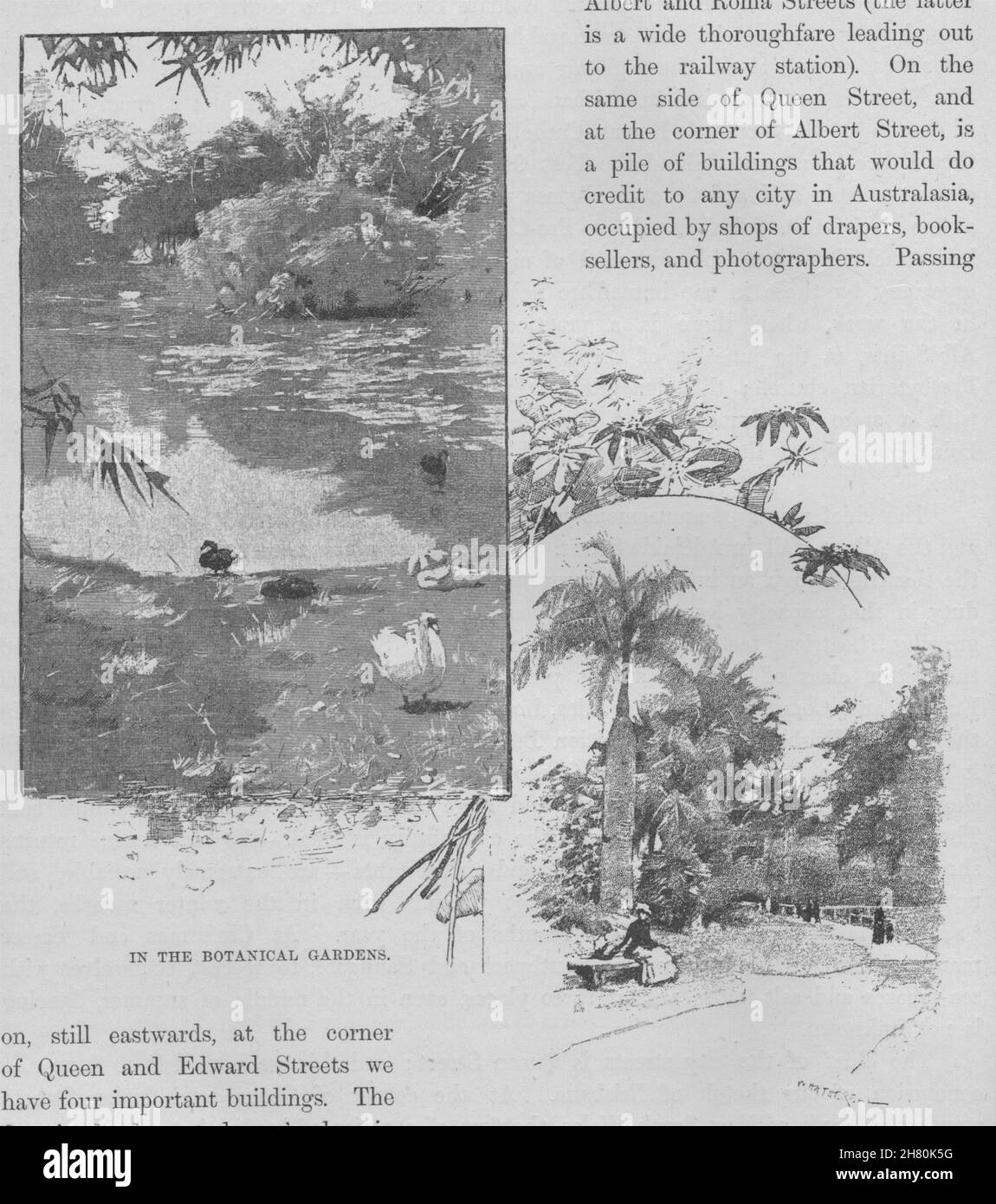 In den Botanischen Gärten. Brisbane. Australien 1890 alte antike Bild drucken Stockfoto
