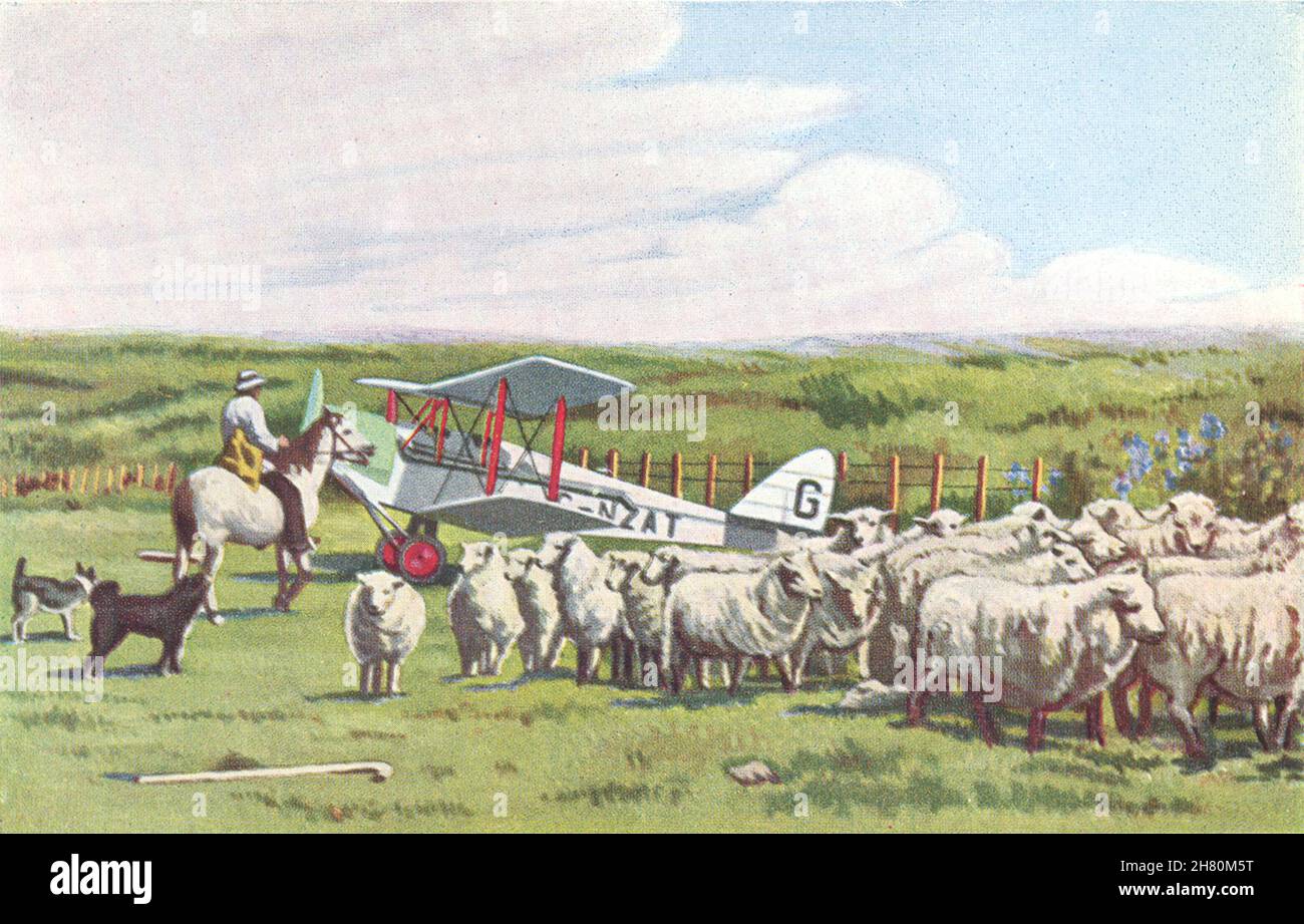NEUSEELAND. Ein leichtes Flugzeug verwendet, eine Schaffarm 1930 alten Vintage-Druck Stockfoto