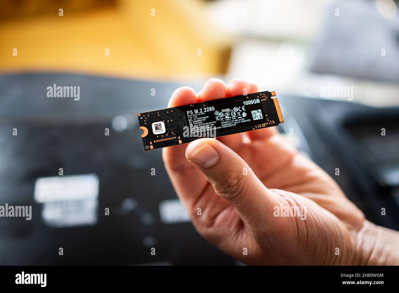 Banner Elk, USA - 23. Juni 2021: Makro-Nahaufnahme der Hand mit dem Crucial Micro Chip von Micron und der Laptop-Computer-Tastatur zum Austausch der toten Festplatte Stockfoto