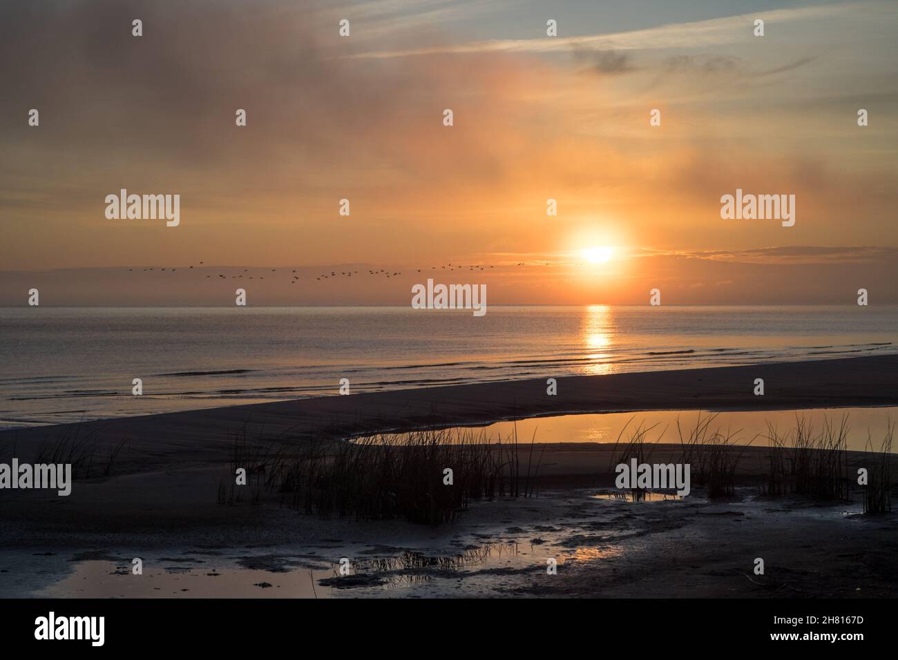 Eine Sonnenaufgangsszene am Ostseestrand mit aufgehender Sonne und einem Vogelschwarm, der in der Ferne vorbeifliegt Stockfoto