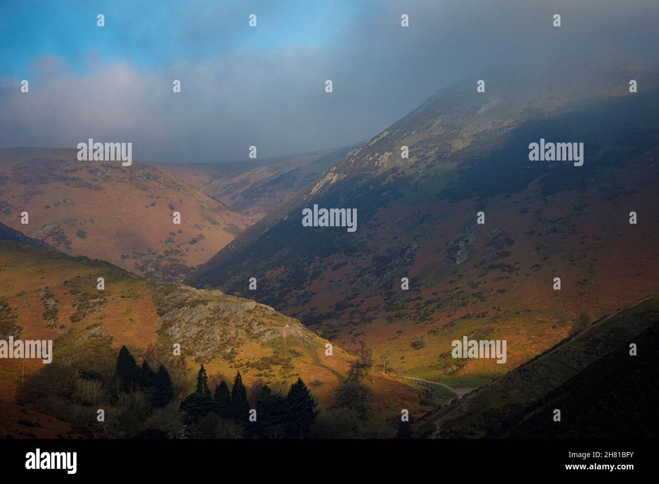 Long Mynd Shropshire Hills Großbritannien Stockfoto