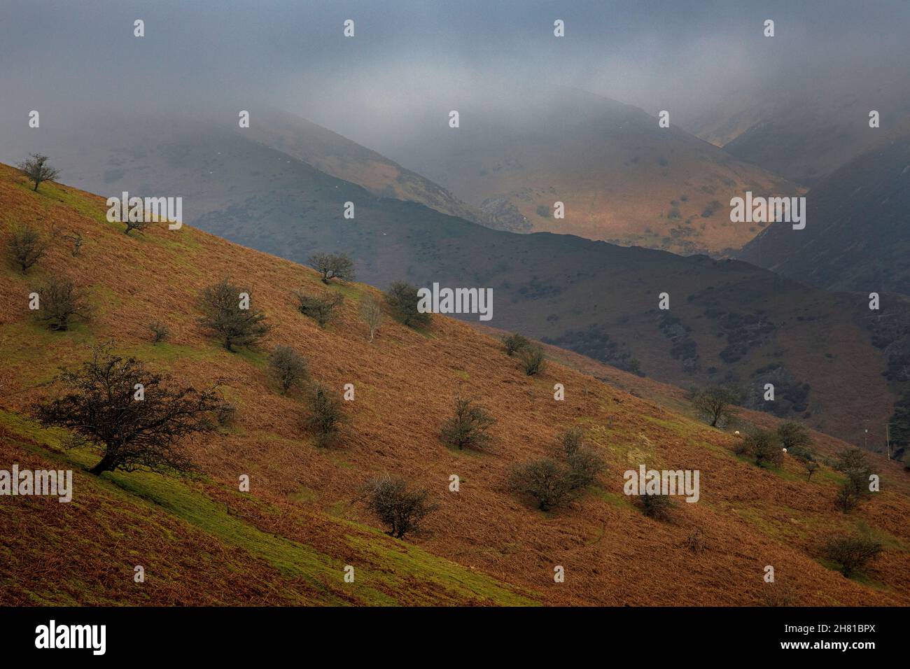 Long Mynd Shropshire Hills Großbritannien Stockfoto