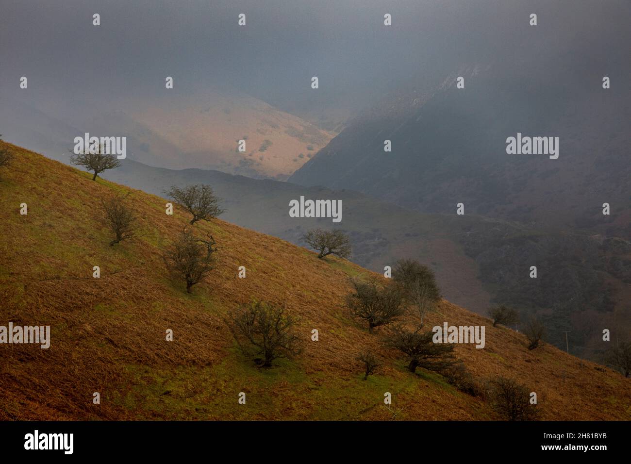 Long Mynd Shropshire Hills Großbritannien Stockfoto