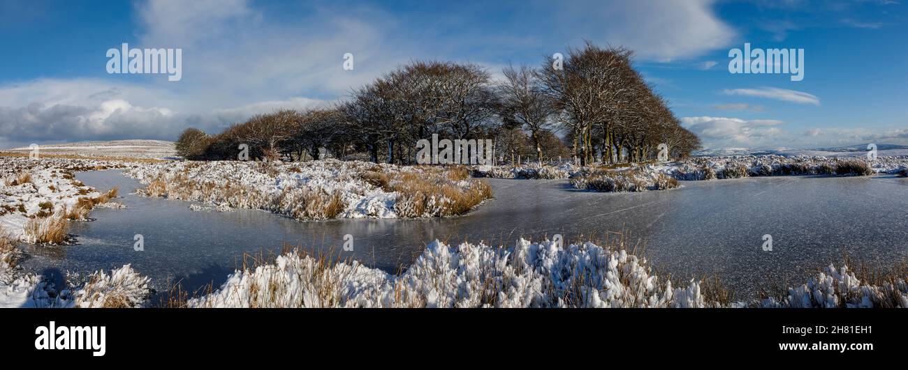 Pole Cottage Long Mynd Shropshire Großbritannien Stockfoto