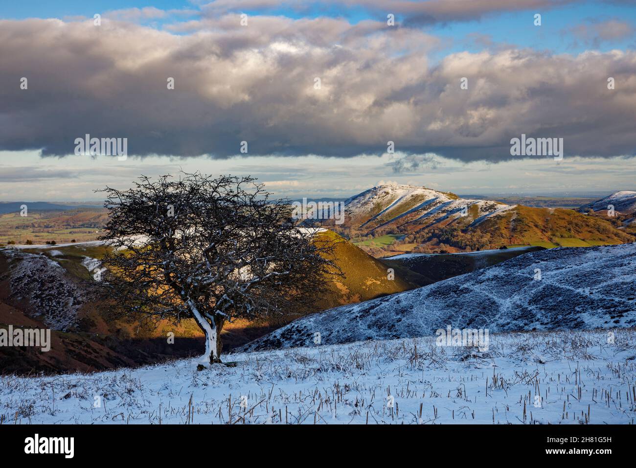 Long Mynd Shropshire, Großbritannien Stockfoto
