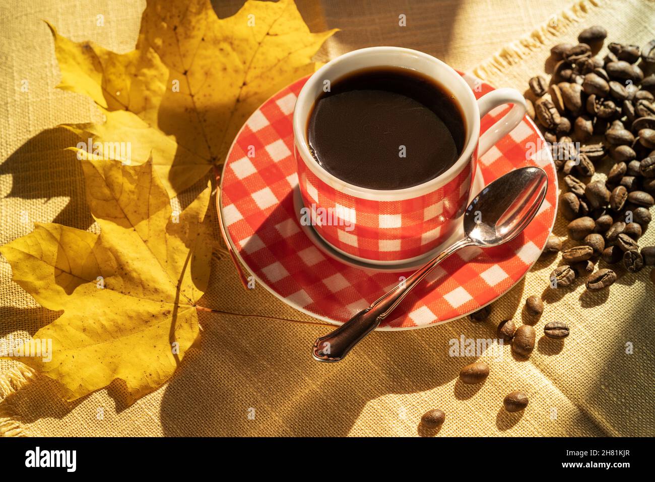 Tasse Kaffee, vom Sonnenlicht beleuchtete Kaffeebohnen, Herbsttag, Draufsicht. Stockfoto