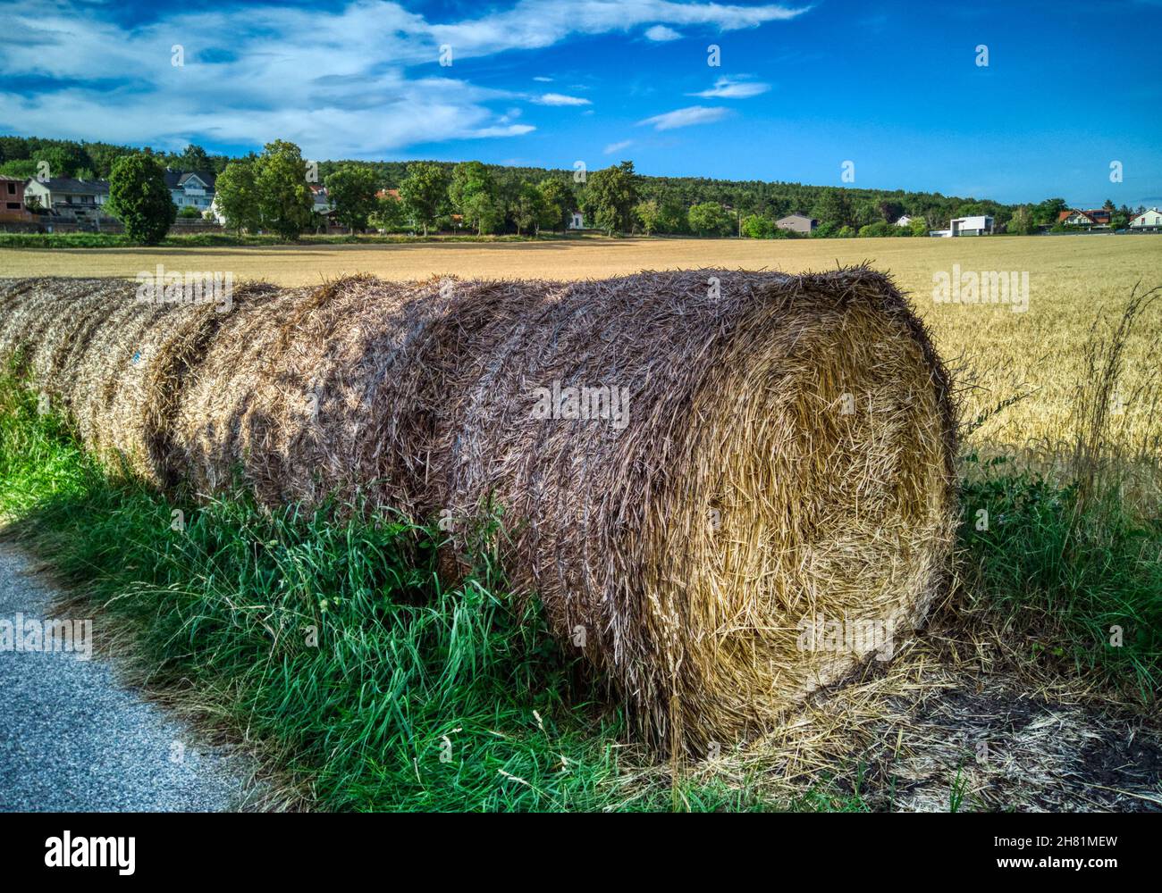 Strohballen liegen seitlich auf dem Feld von Bad Fischau Brunn in Österreich Stockfoto