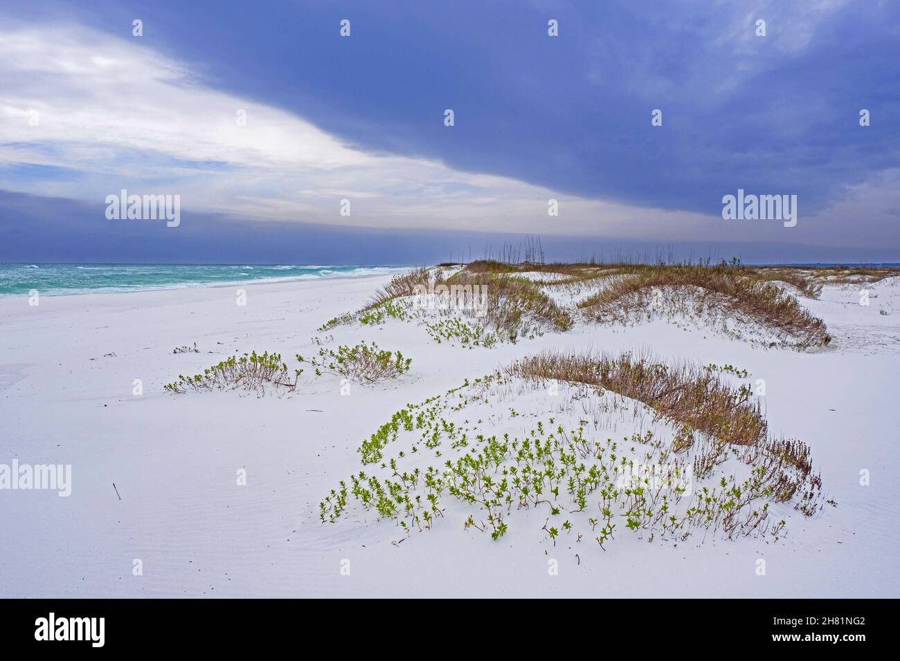 Weiße Quarzsanddünen bei Sonnenuntergang entlang des Golfs von Mexiko bei Gulf Islands National Seashore im Winter, Santa Rosa County, Florida, USA / USA Stockfoto
