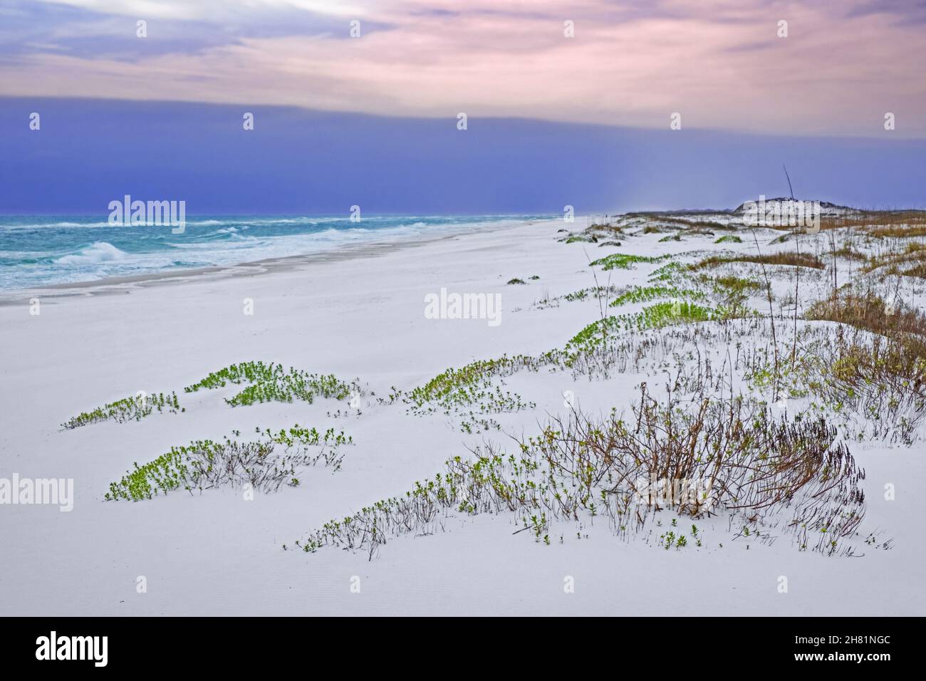 Weiße Quarzsanddünen bei Sonnenuntergang entlang des Golfs von Mexiko bei Gulf Islands National Seashore im Winter, Santa Rosa County, Florida, USA / USA Stockfoto