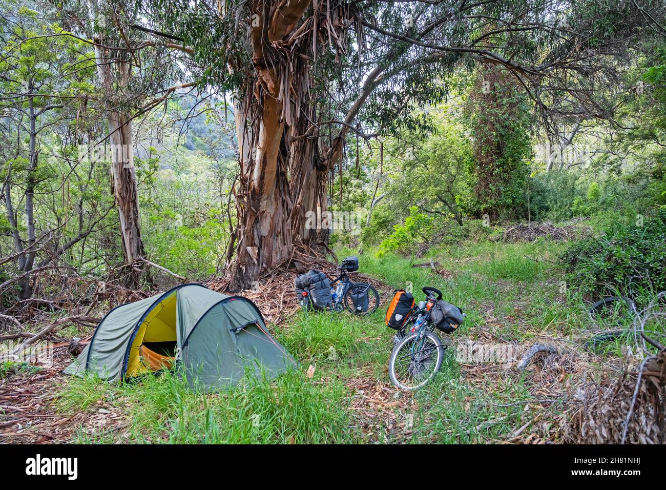 Tourenradler wild camping mit Kuppelzelt im Topanga State Park in den Santa Monica Mountains, Los Angeles County, Kalifornien, USA / USA Stockfoto