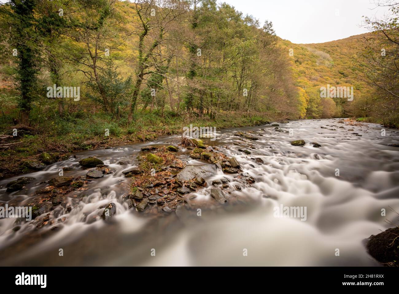 Langzeitbelichtung des East Lyn River, der im Herbst durch das Doone Valley bei Watersmeet im Exmoor National Park fließt Stockfoto