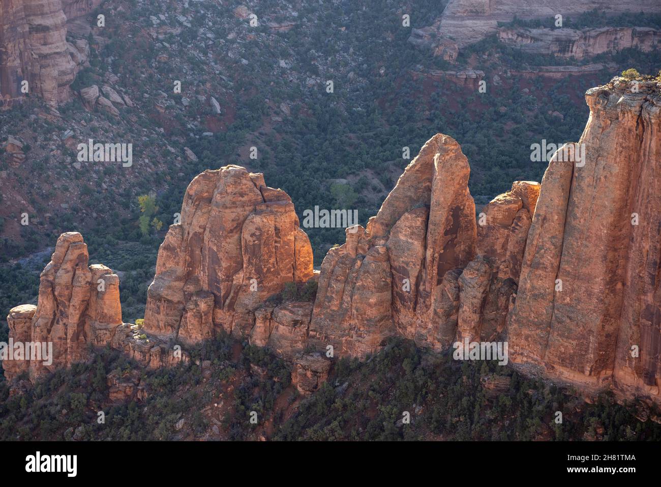 Colorado National Monument in der Nähe von Grand Junction Colorado. Ein Gebiet mit Wüstenland hoch auf dem Colorado Plateau. Stockfoto