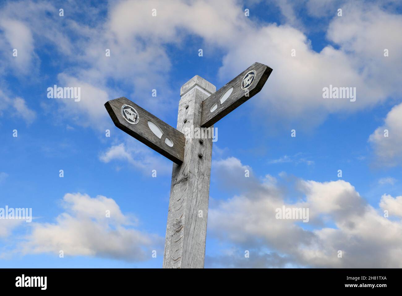 Ein Holzschild mit Wegmarkierungen auf dem Gritstone Trail, Cchesthire, England, Großbritannien Stockfoto