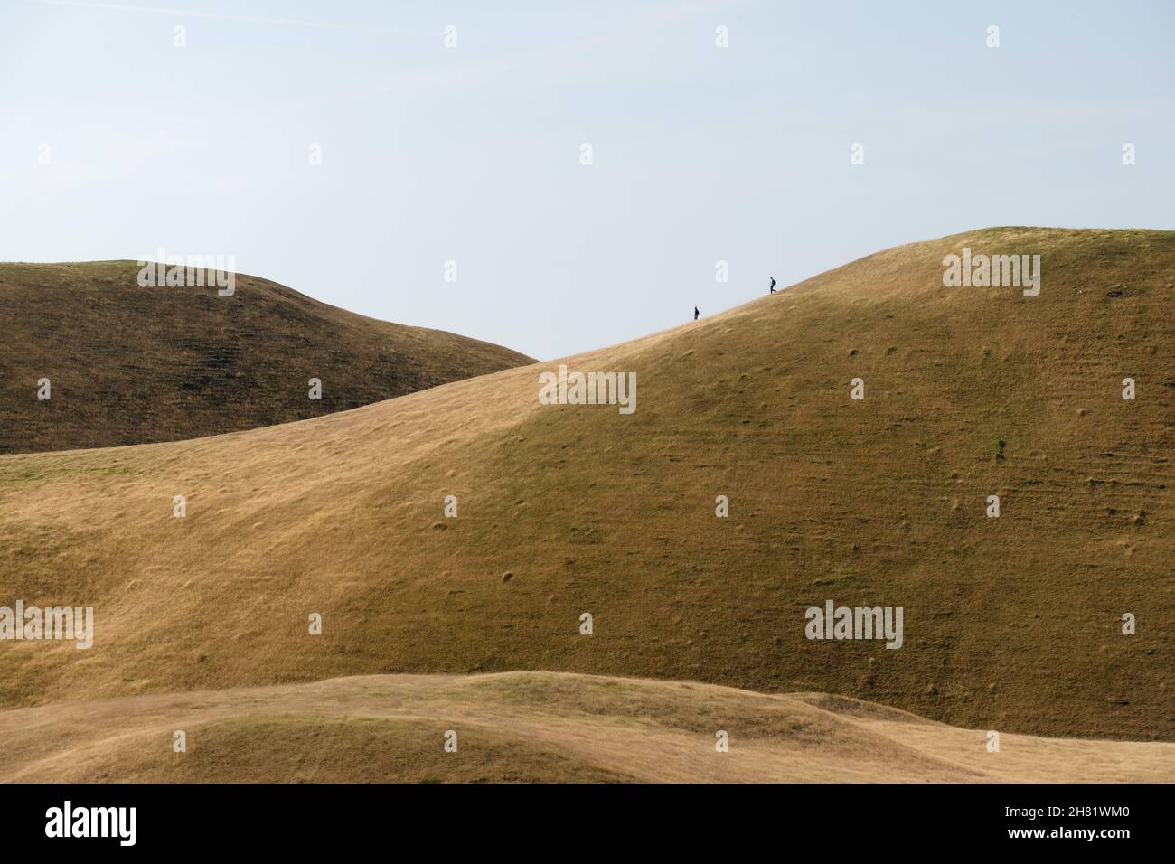 Goldene grasbewachsene Hügel. Um den Eindruck eines weiten, offenen Raums zu verstärken, gehen in der Ferne zwei kleine Zeichen, die kaum wenige Pixel breit sind, den Grat hinunter. Stockfoto