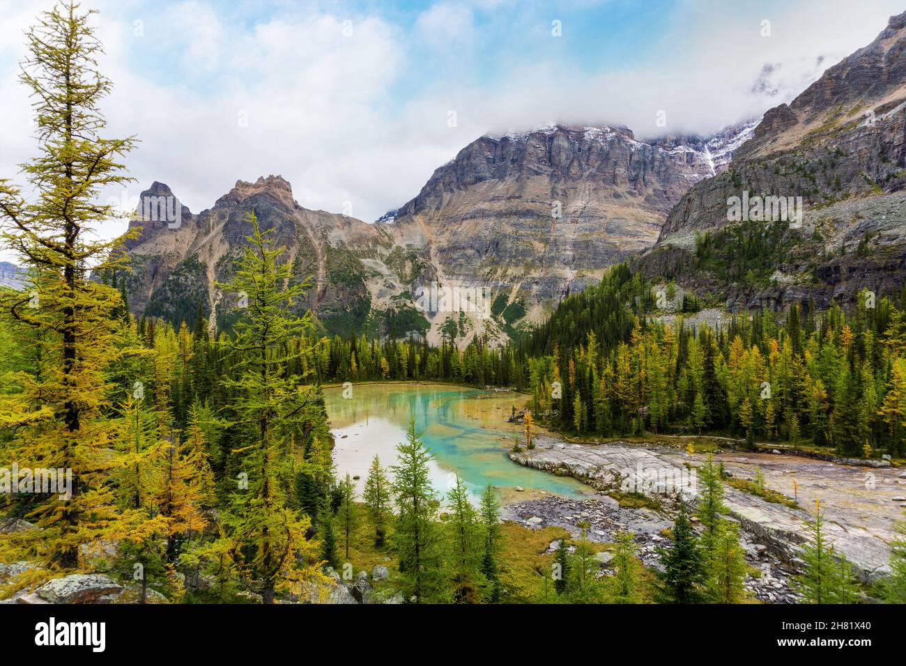 Goldene Lärchen umgeben die Moor Lakes im Herbst am Lake O'Hara mit schweren Wolken auf dem Yukness Mountain in den kanadischen Rockies des Yoho National Park. Stockfoto