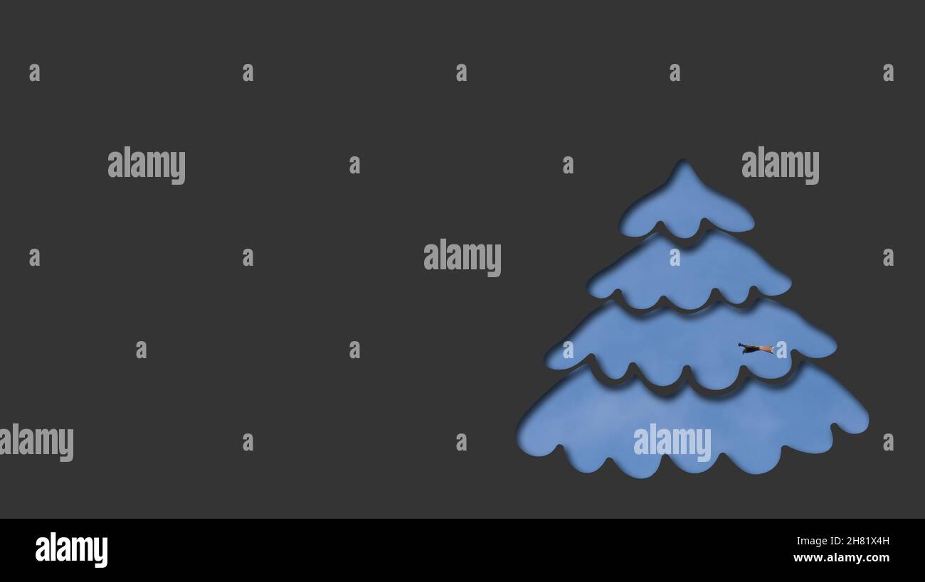 Dunkle weihnachtsbaum-Konzeptkarte mit Kopierraum - Ausschnitt mit fliegendem Falken gegen blauen Himmel dahinter Stockfoto