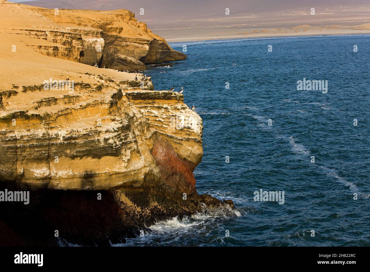 Landschaft im Nationalpark Paracas, Peru Stockfoto