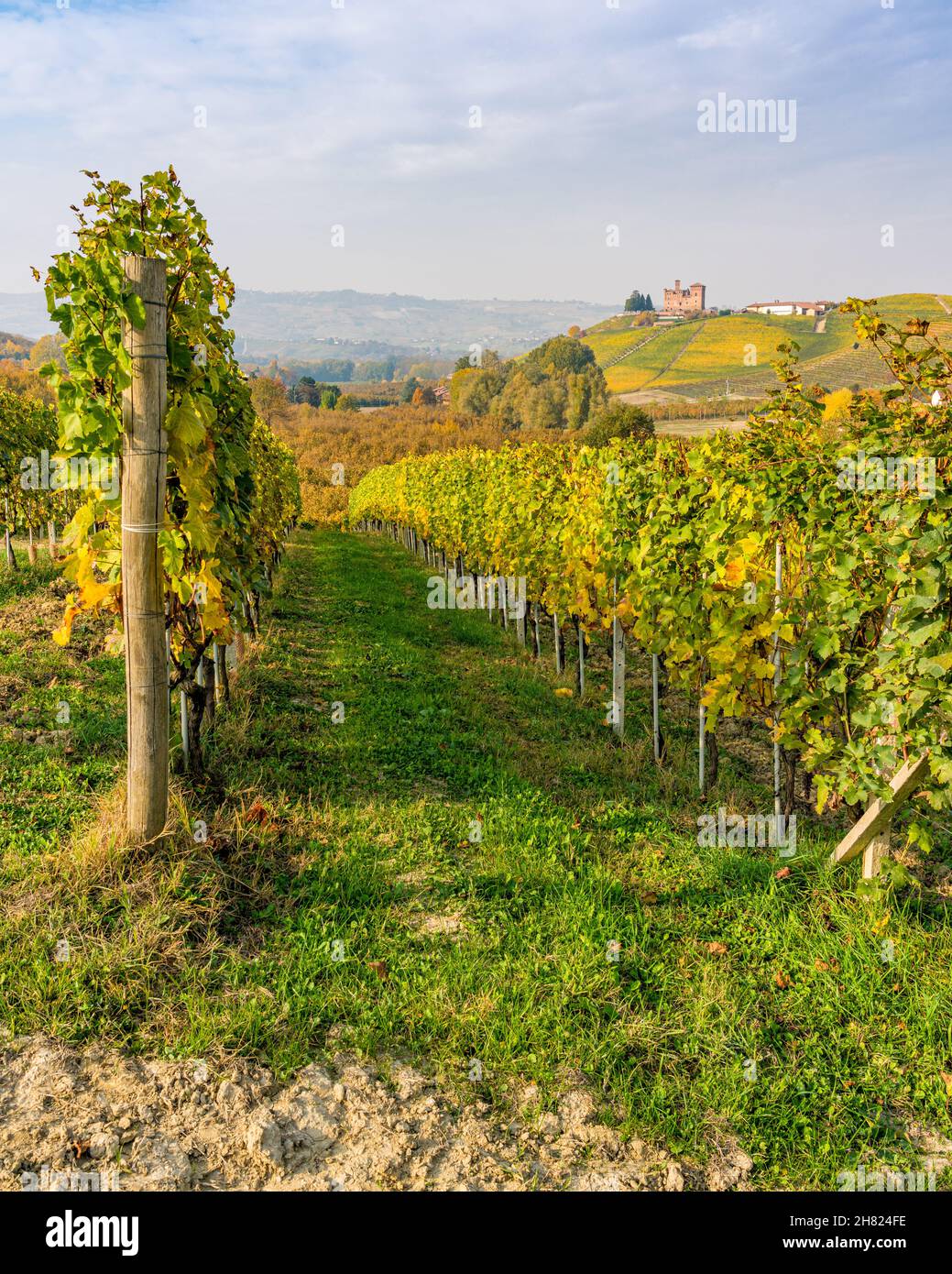 Wunderschöne Hügel und Weinberge während der Herbstsaison rund um das Schloss Grinzane Cavour. In der Region Langhe, Cuneo, Piemont, Italien. Stockfoto