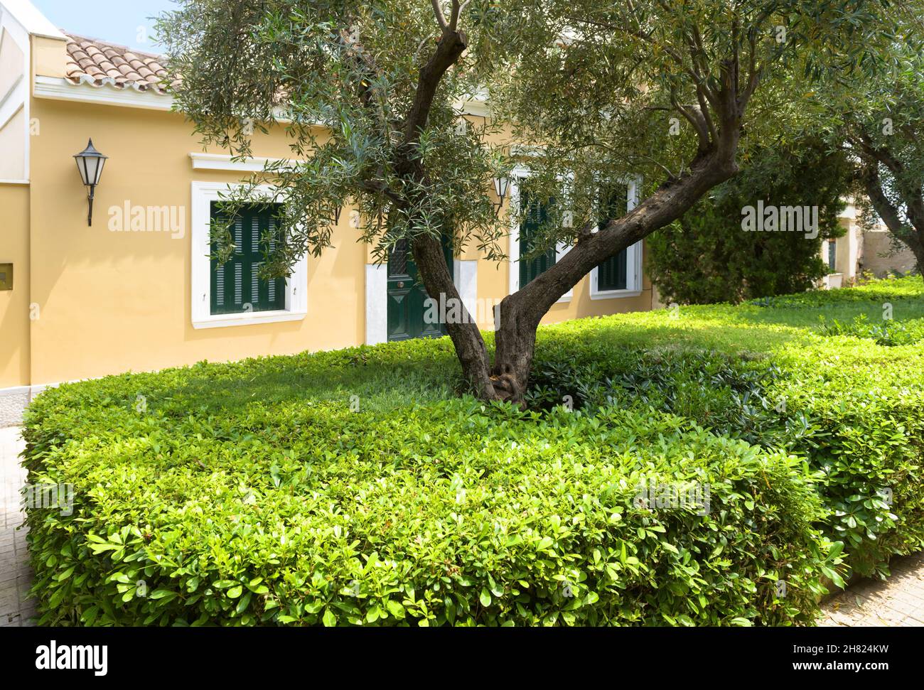 Landschaftsgestaltung mit Pflanzen im Haus, schöne Landschaftsgestaltung Hausgarten in der Stadt. Landschaftlich schöner Blick auf den landschaftlich gestalteten Vorgarten, im Sommer topiary Busch. Baum und sh Stockfoto