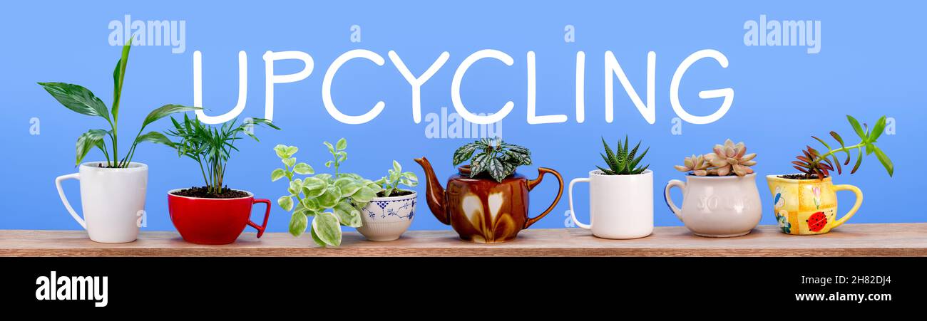 Recyceln Sie Tassen, Tassen, Teebecher, Schalen für Zimmerpflanzen, Upcycling-Text auf blauem Hintergrund, Upcycling für ein nachhaltiges Leben Stockfoto