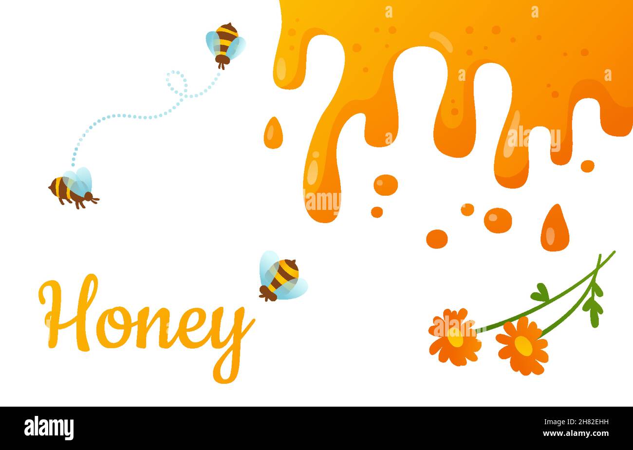 Bienenfliege und Honig Spritzer Tropfen Öko-Set. Spritzt Honigtropfen fließende, flüssige Propolis. Gesundes natürliches Bio-Produkt. Verpackung Lebensmittel Design Konzept Cartoon Vektor Stock Vektor