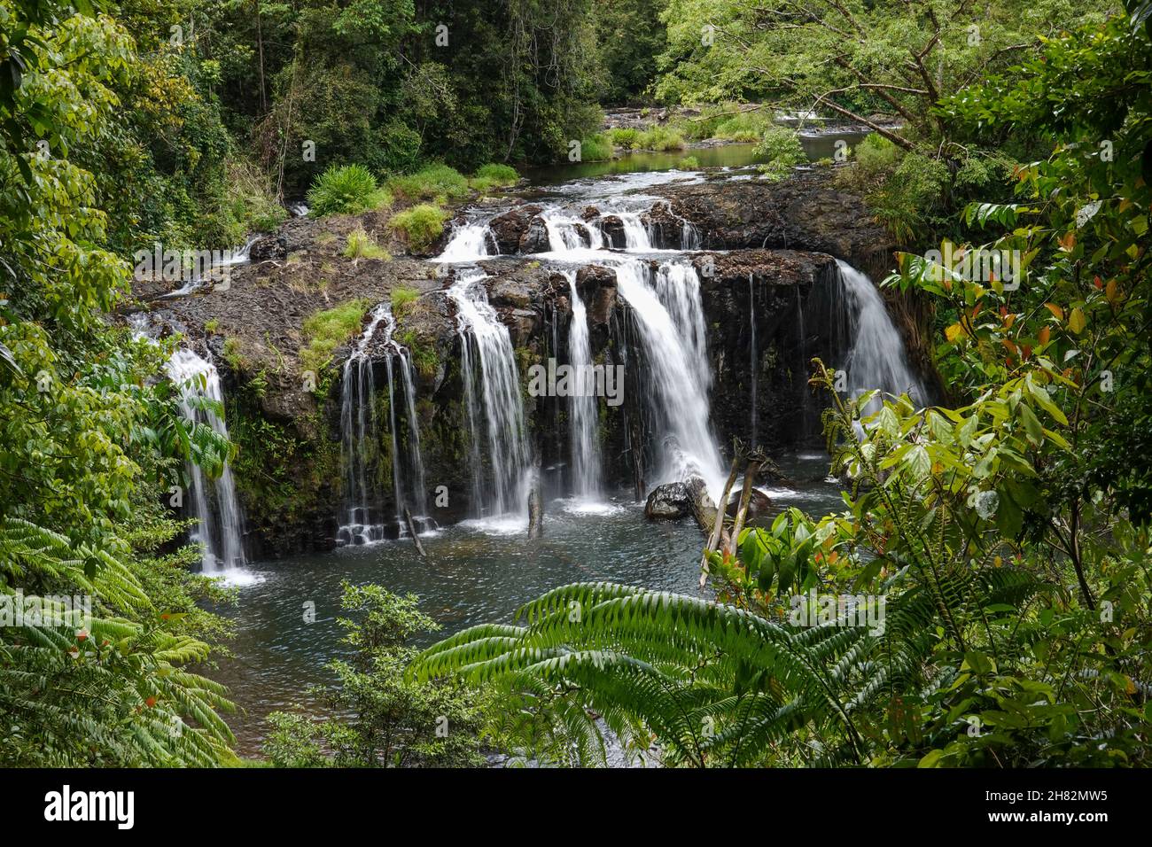 Wallicher Falls, Wooroonooran-Nationalpark, Queensland, Australien Stockfoto