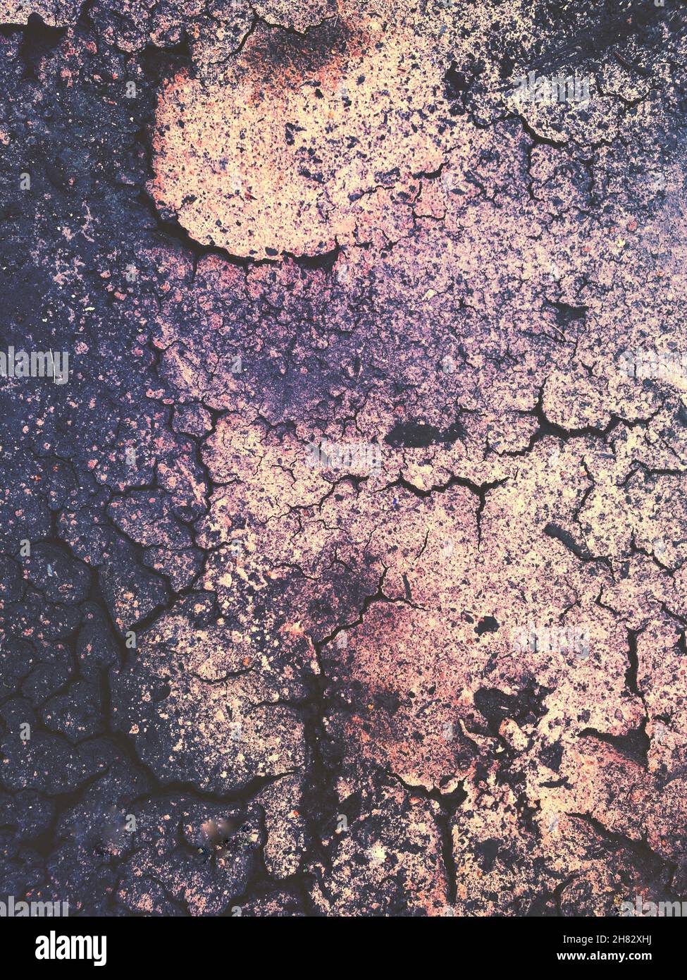 Grunge- oder Texturhintergrund von trockener und rissiger Oberfläche mit grünen und violetten farbigen Farbton und Kopierraum Stockfoto