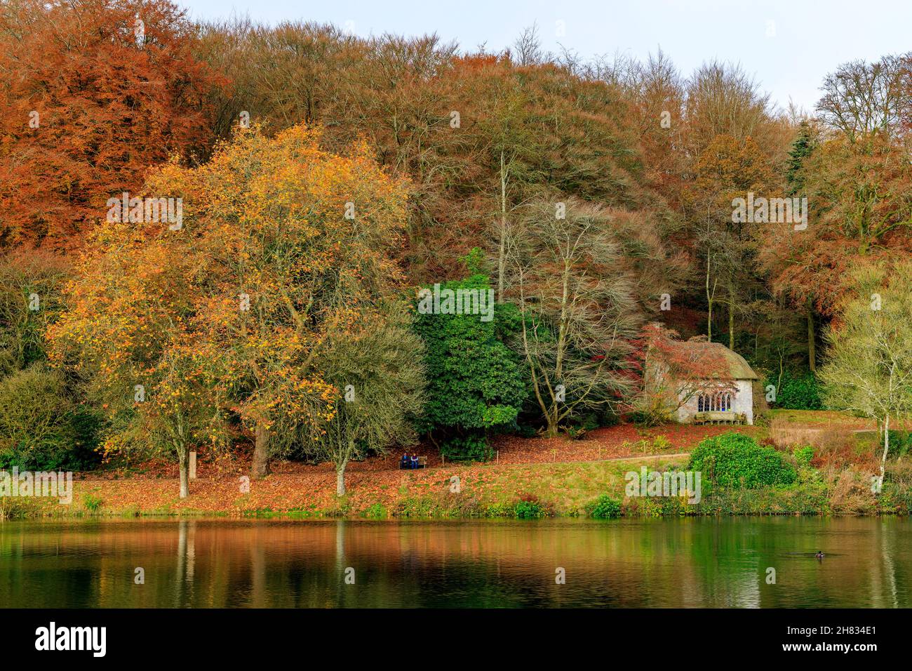 Lebendige Herbstfarbe der Bäume rund um den See in Stourhead Gardens, Wiltshire, England, Großbritannien Stockfoto