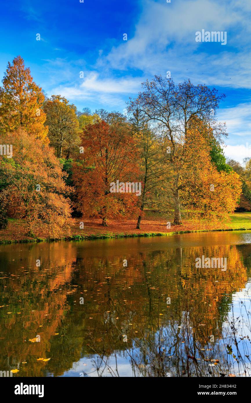 Lebendige Herbstfarbe der Bäume rund um den See in Stourhead Gardens, Wiltshire, England, Großbritannien Stockfoto