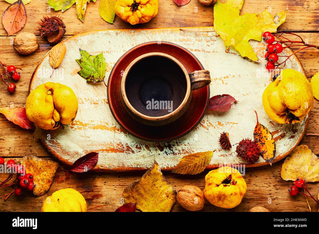 Hausgemachter Früchtetee aus Herbstquitte.Heißer Apfeltee-Drink Stockfoto