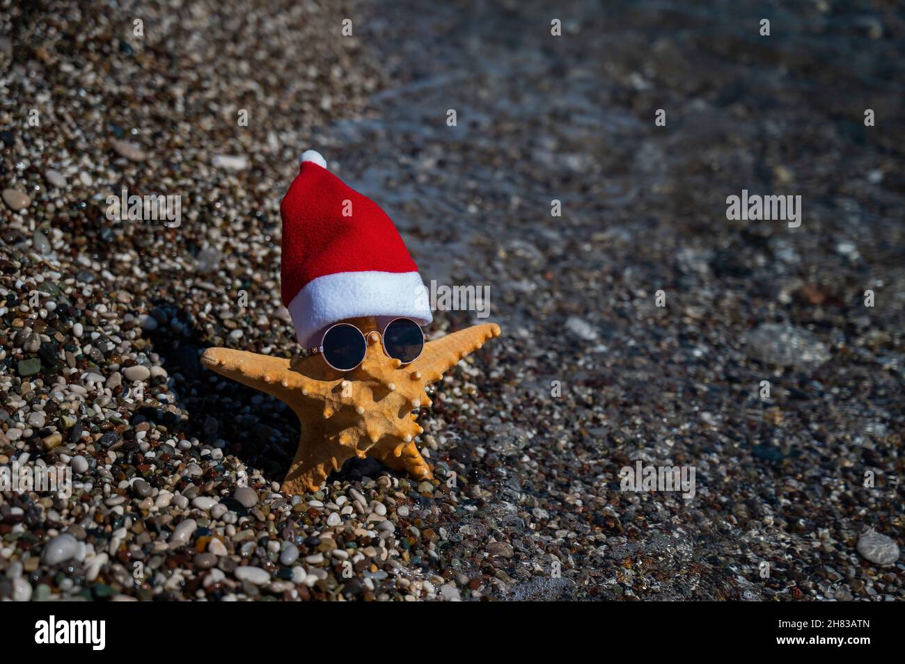 Seesterne in weihnachtsmannhut und Sonnenbrille an einem Kiesstrand am Meer. Stockfoto
