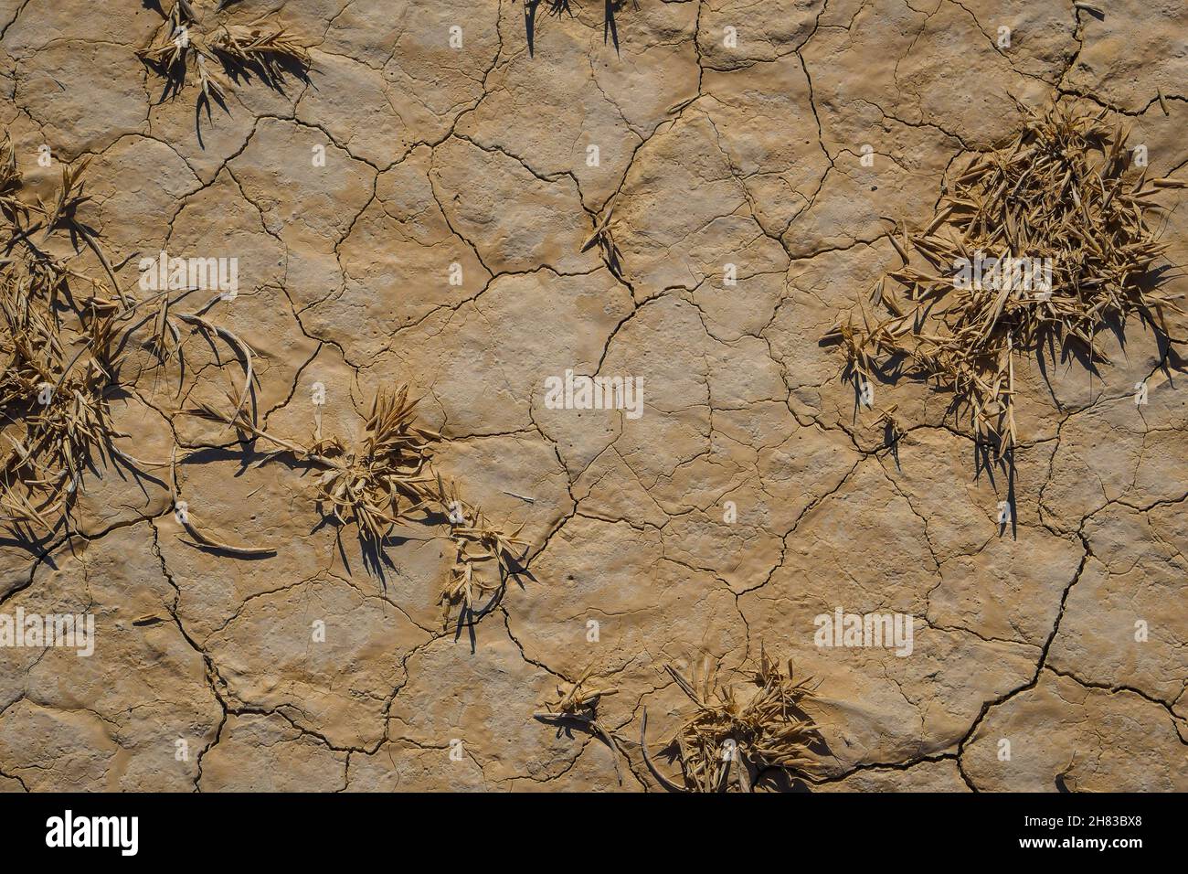 Espagne, Navarra, Arguedas, désert des Bardenas Reales, Parc naturel classé Réserve de Biosphère par l'UNESCO, Castil de tierra, la cheminée de Stockfoto