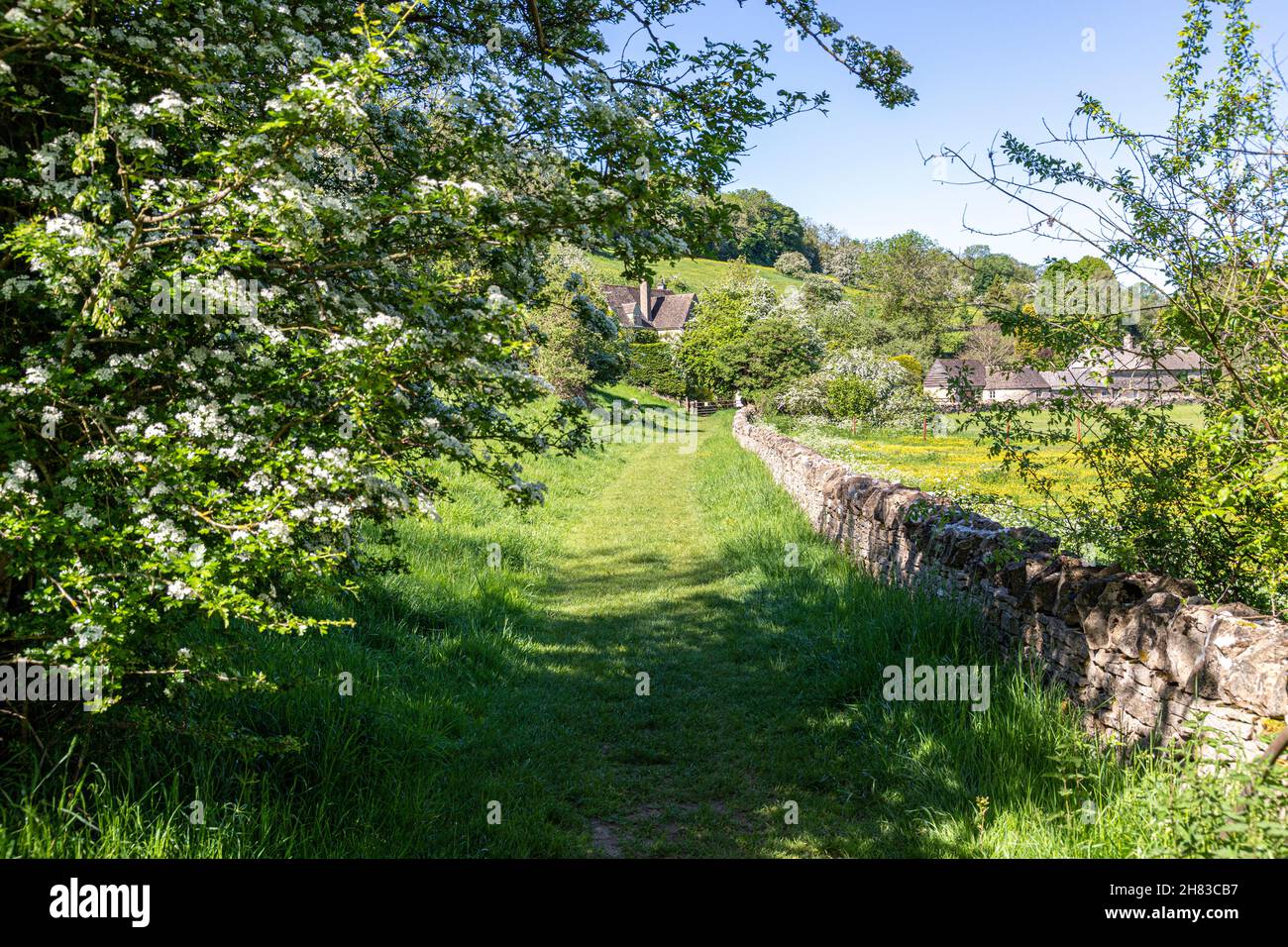 Ein öffentlicher, grasbewachsener Fußweg Anfang Juni im Cotswold-Dorf Naunton im Tal des Flusses Windrush, Gloucestershire, Großbritannien Stockfoto