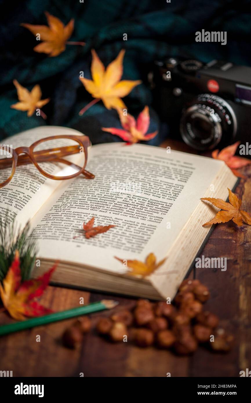 Buch mit Herbstblättern, Kamera und Brille Stockfoto