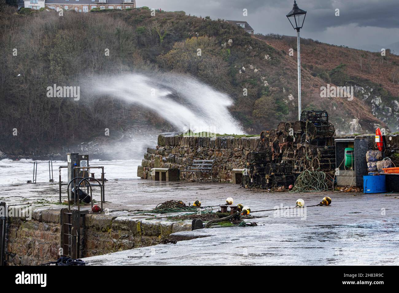 Fishguard, Pembrokeshire, Großbritannien . 27. November 2021. Sturm Arwn setzt seine fishguard-Bäume in der Küstenstadt fort, die von Dächern abfliegen und Gewächshäuser zerbrochen Credit: Debra Angel/Alamy Live News Stockfoto